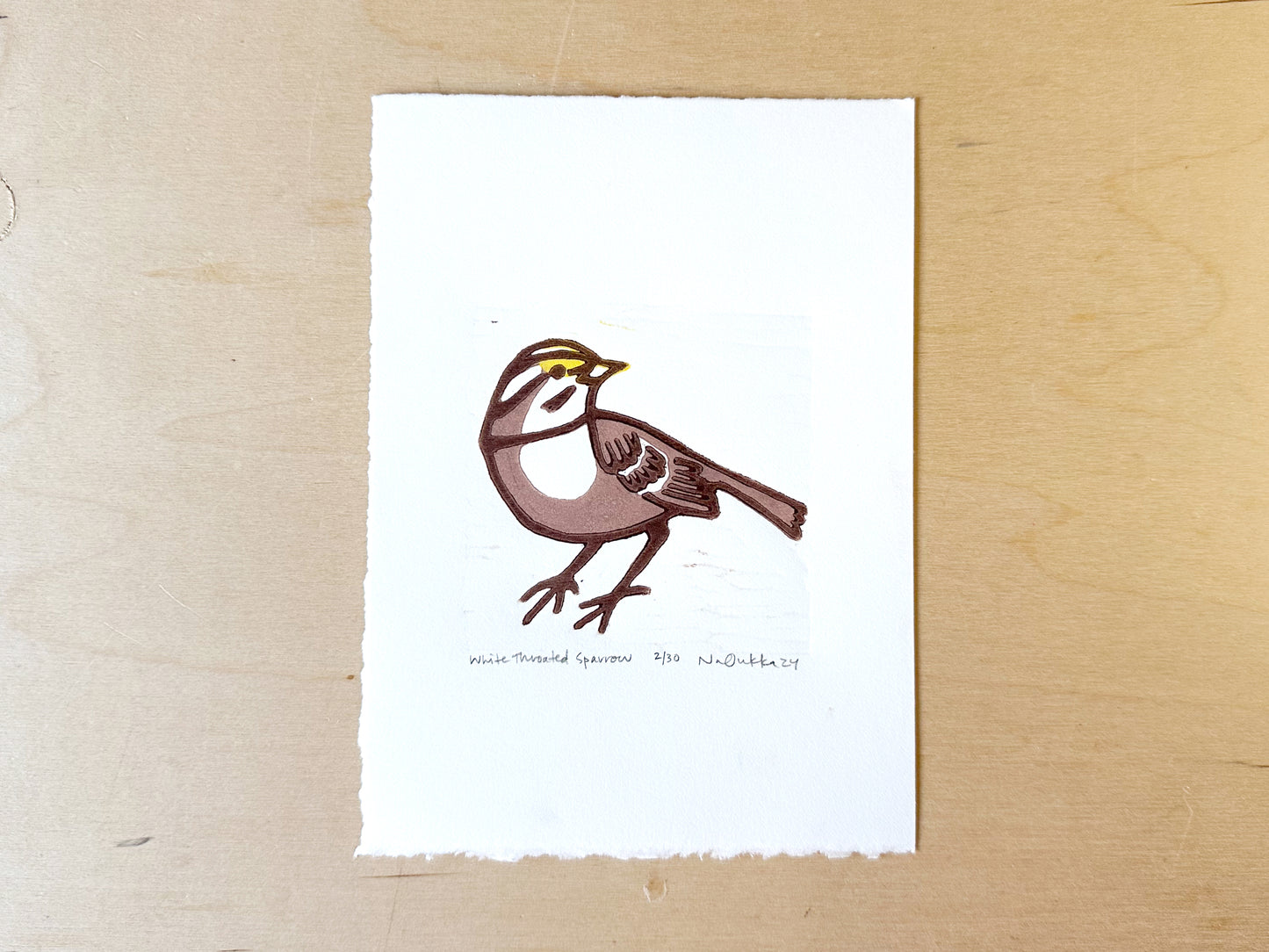 White Throated Sparrow Woodcut Print