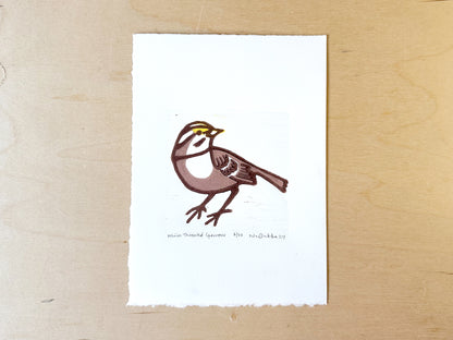 White Throated Sparrow Woodcut Print