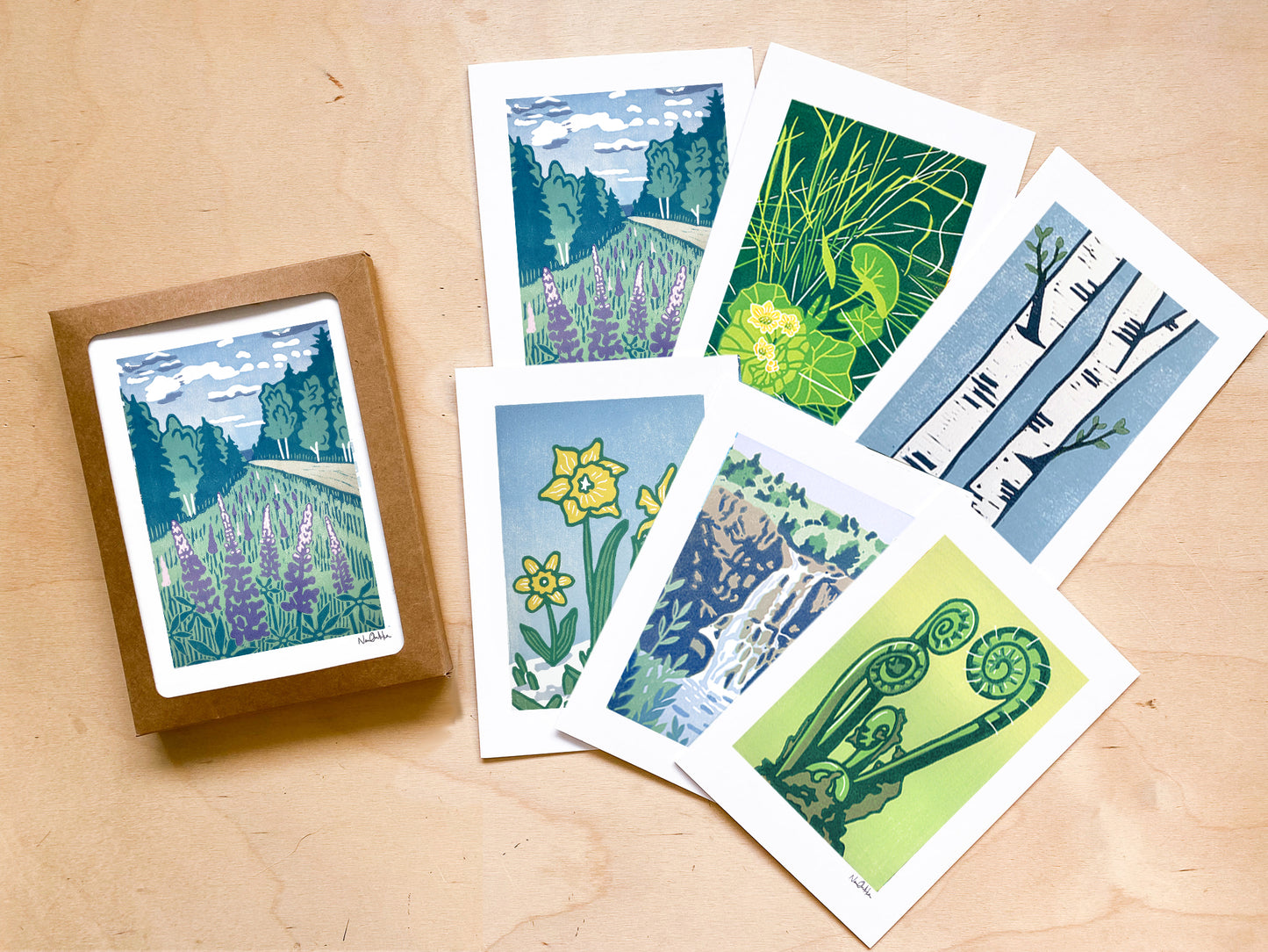 Boxed Set of Spring Greeting Cards (6 cards)