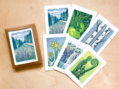 Boxed Set of Spring Greeting Cards (6 cards)