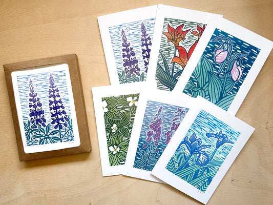 Boxed Set of Wildflower Greeting Cards (6 cards)