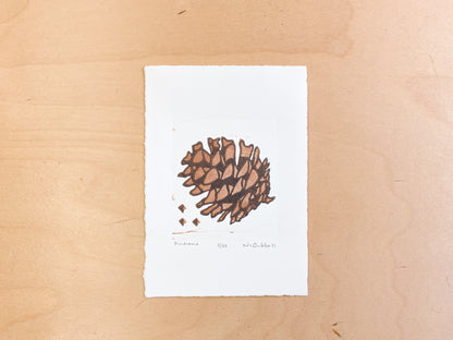 Pinecone Woodcut Print
